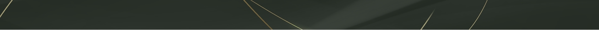 banner-in.jpg